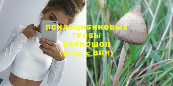 индика Волоколамск