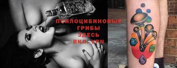 тгк Володарск