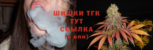 индика Волоколамск