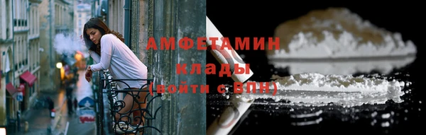 индика Волоколамск