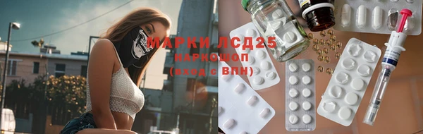 индика Волоколамск