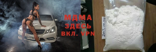 шишки Новодвинск