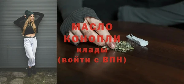 шишки Новодвинск