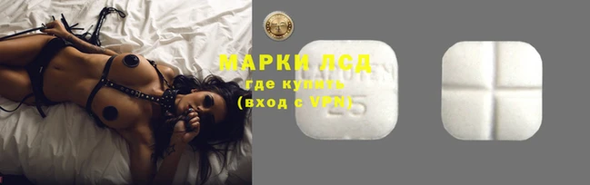 шишки Новодвинск