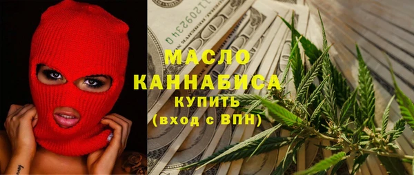 индика Волоколамск