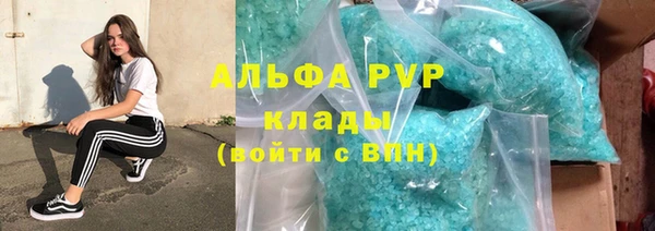 тгк Володарск