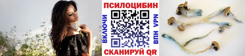 Псилоцибиновые грибы MAGIC MUSHROOMS Орехово-Зуево