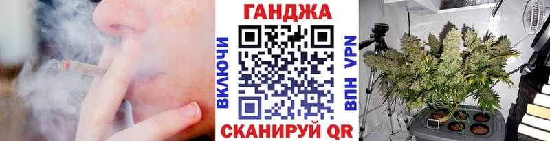 Конопля сатива  где найти   Орехово-Зуево 